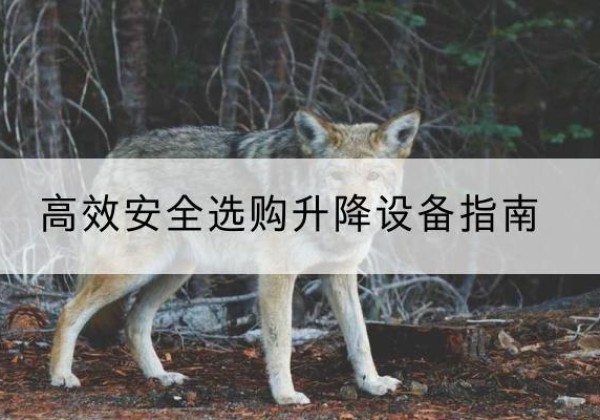 南安升降货梯厂家推荐-*安全选购升降设备指南