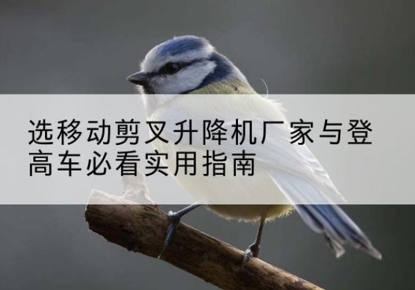 南安电动升降机厂家-选移动剪叉升降机厂家与登高车必看实用指南