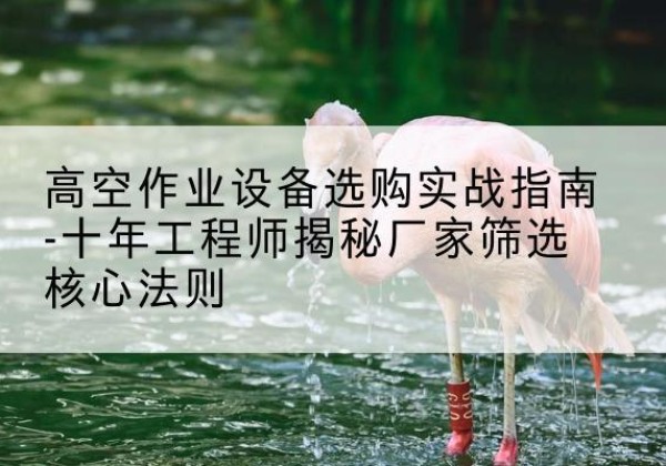 南安剪叉式升降机厂家-高空作业设备选购实战指南-十年工程师揭秘厂家筛选核心法则